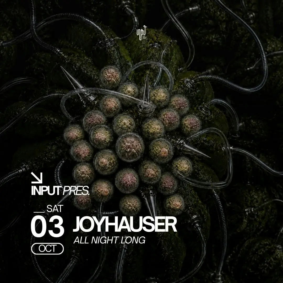 INPUT pres JOYHAUSER All Night Long