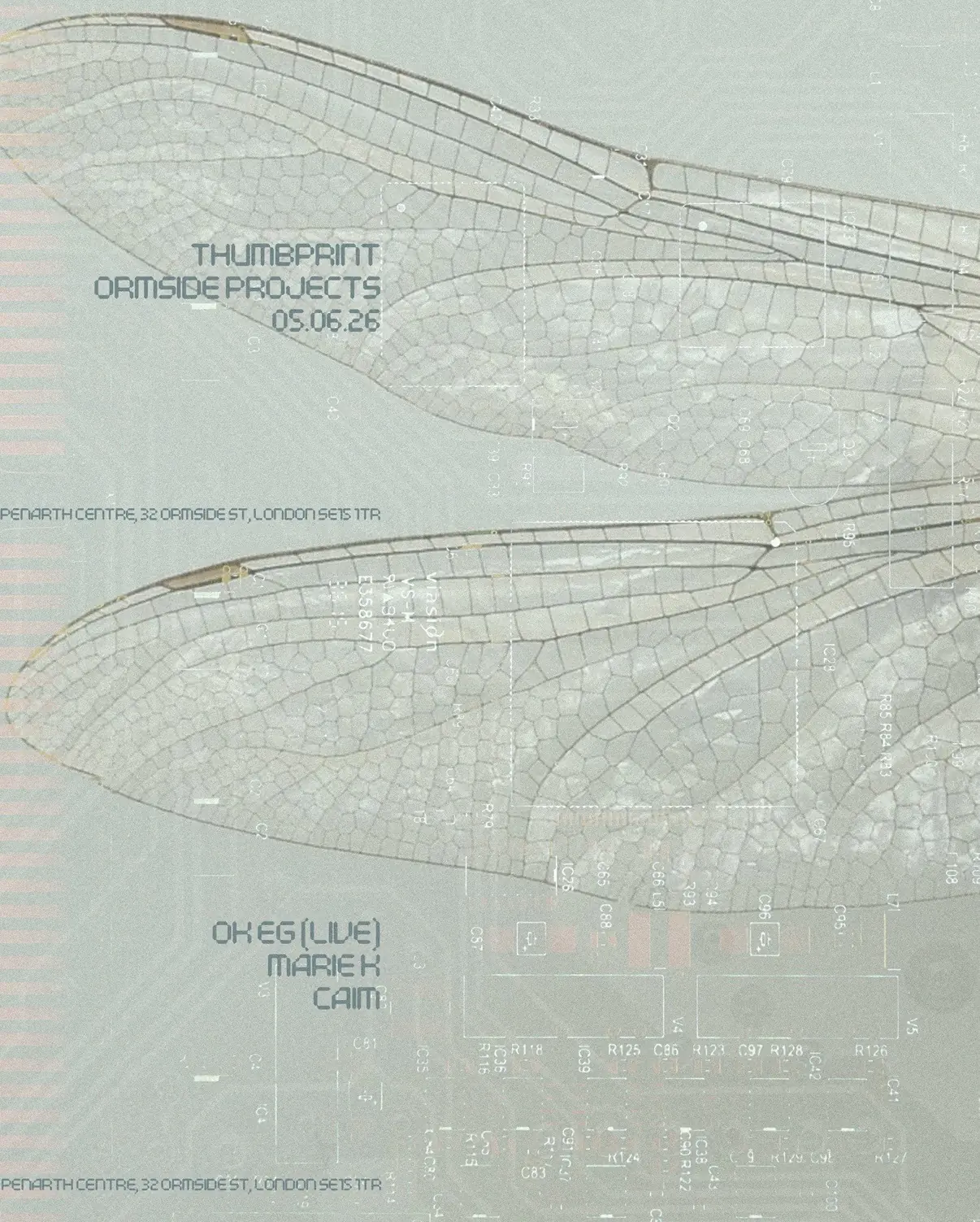 thumbprint ❂ OK EG (Live), Marie K, Caim