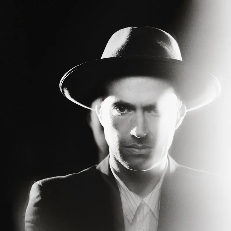 The Veils
