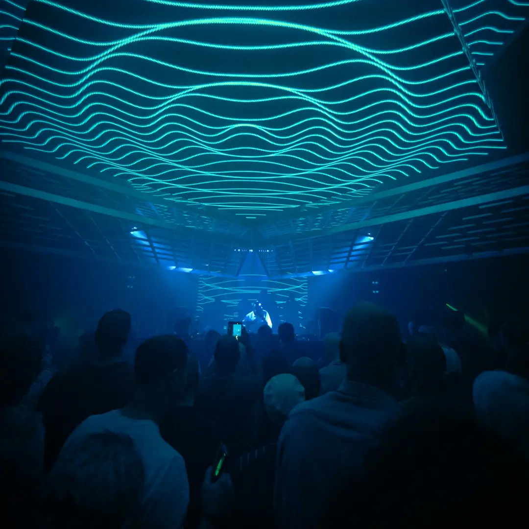 BLINK: ZERB, ROLIPSO, MIDDLTN, OPUS