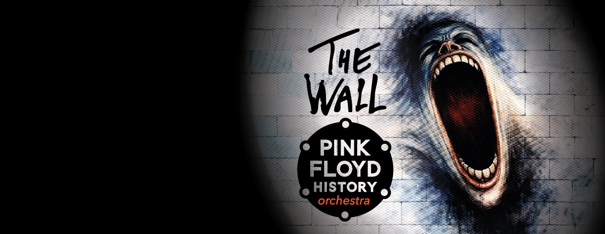 The Wall - Pink Floyd History orchestra