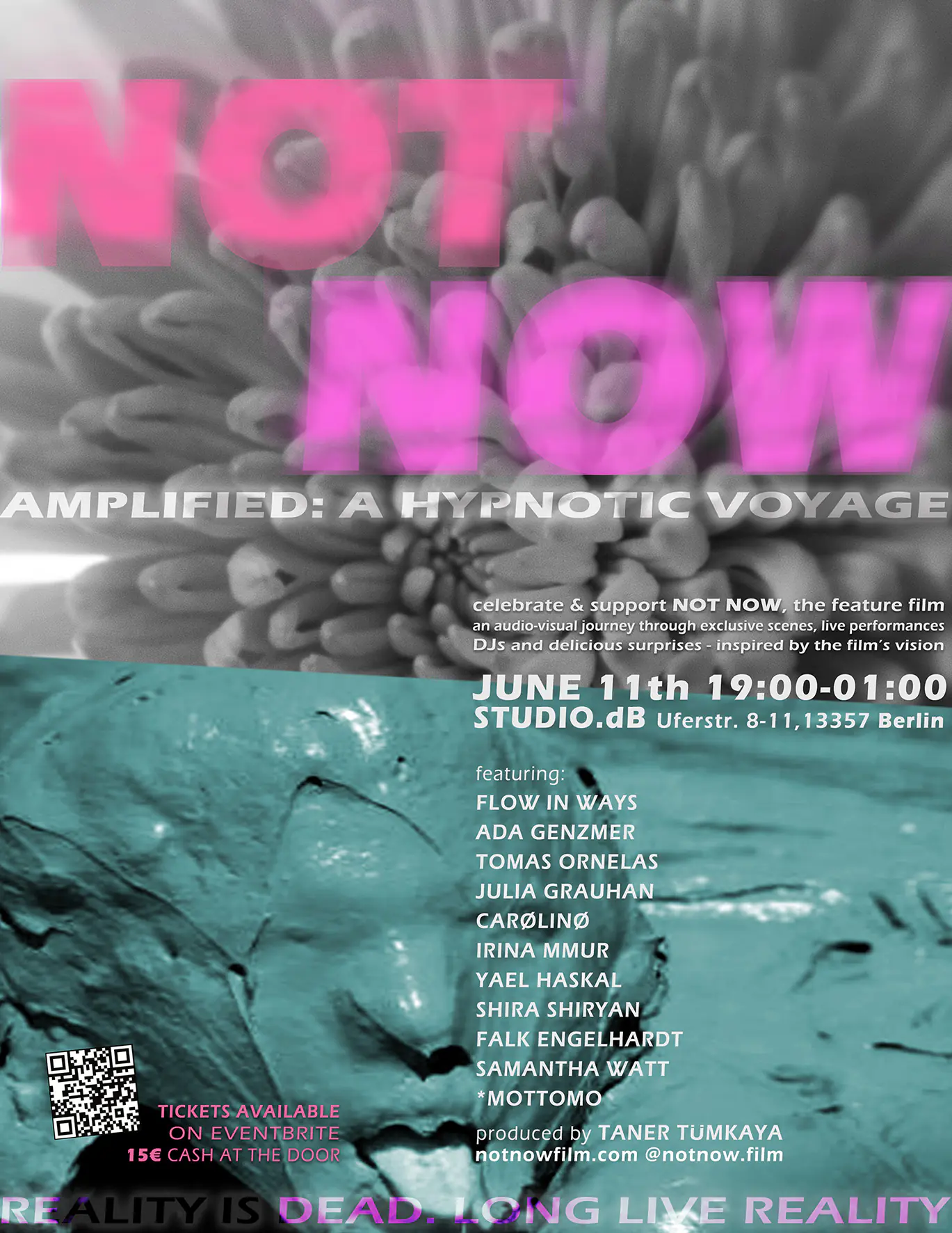 AMPLIFIED: A HYPNOTIC JOURNEY