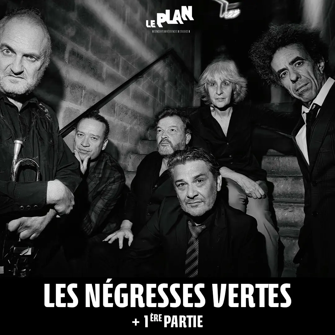 LES NEGRESSES VERTES
