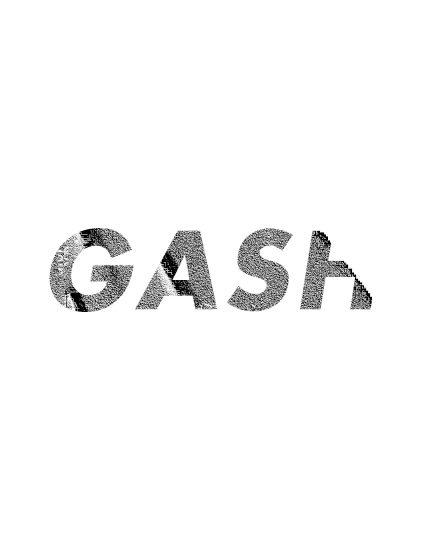 GASH w / 「******** ****」