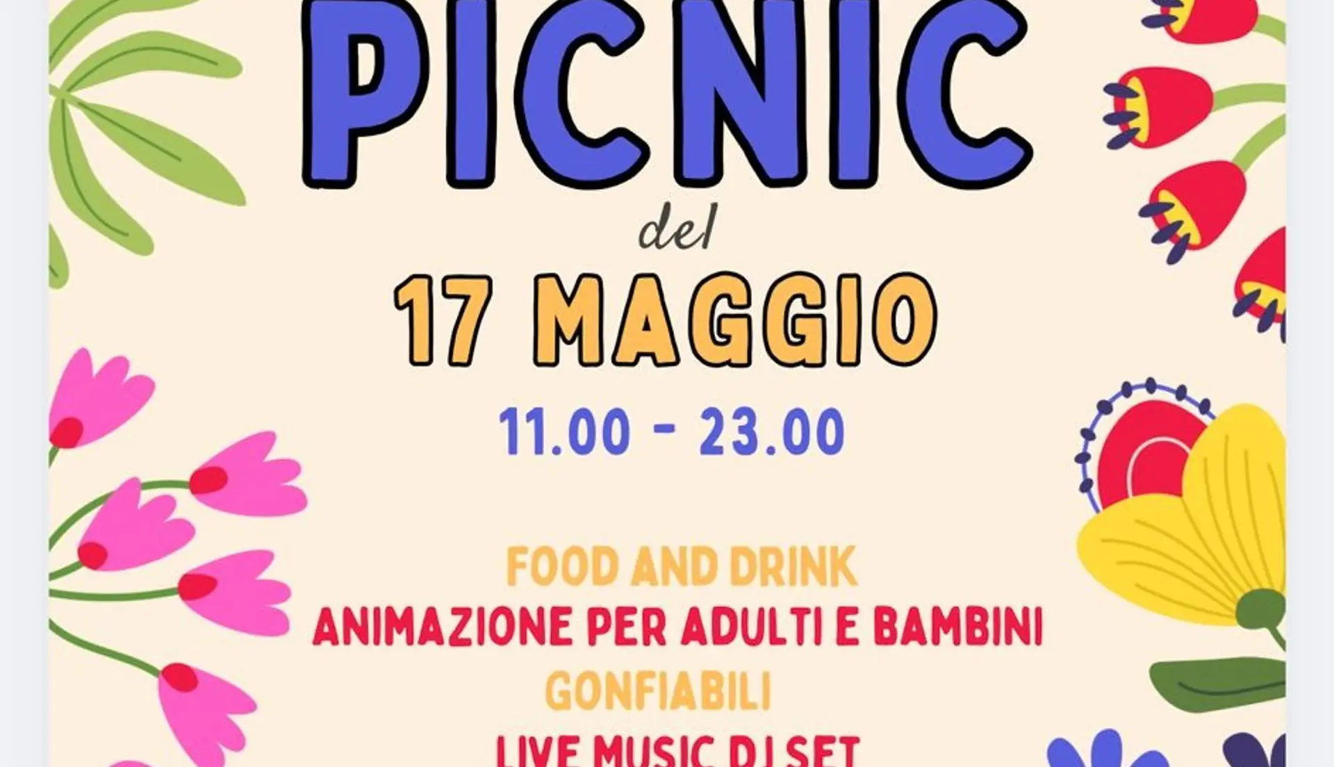 PIC NIC DEL 17 MAGGIO