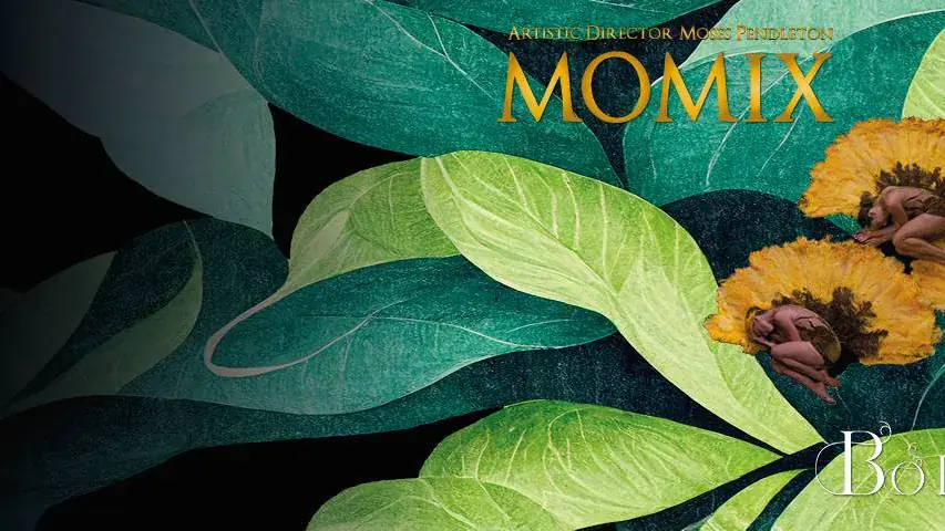 Momix