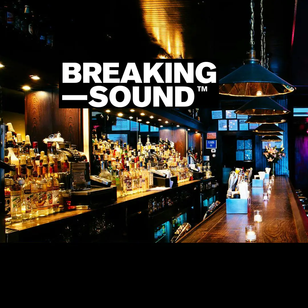 Breaking Sound NYC at Brooklyn Music Kitchen 09 / 24
