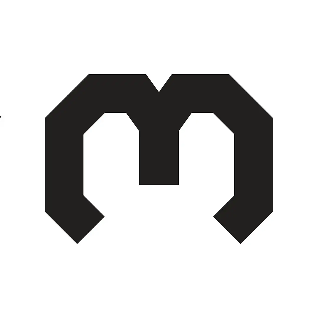 Maxxing