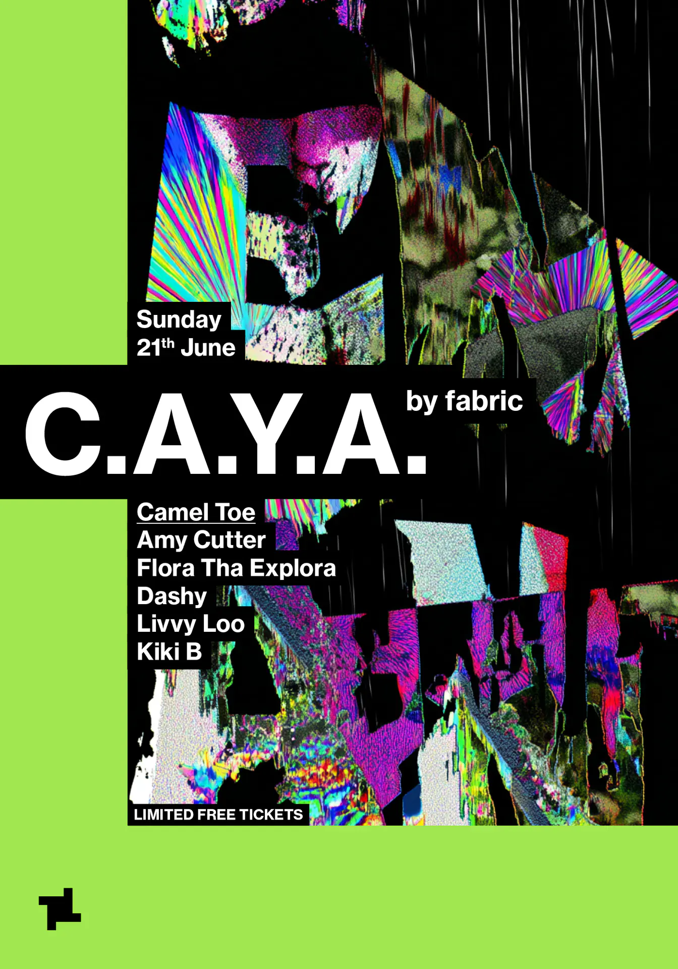 CAYA by fabric: Camel Toe - Amy Cutter, FLORA THA EXPLORA, DASHY, Livvy, Loo Kiki B