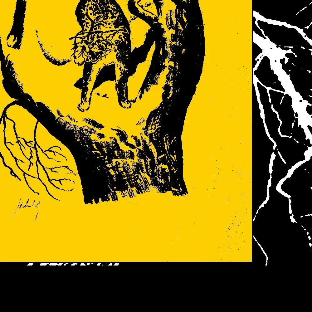 Neumatic Parlo / Houndshark + special guests