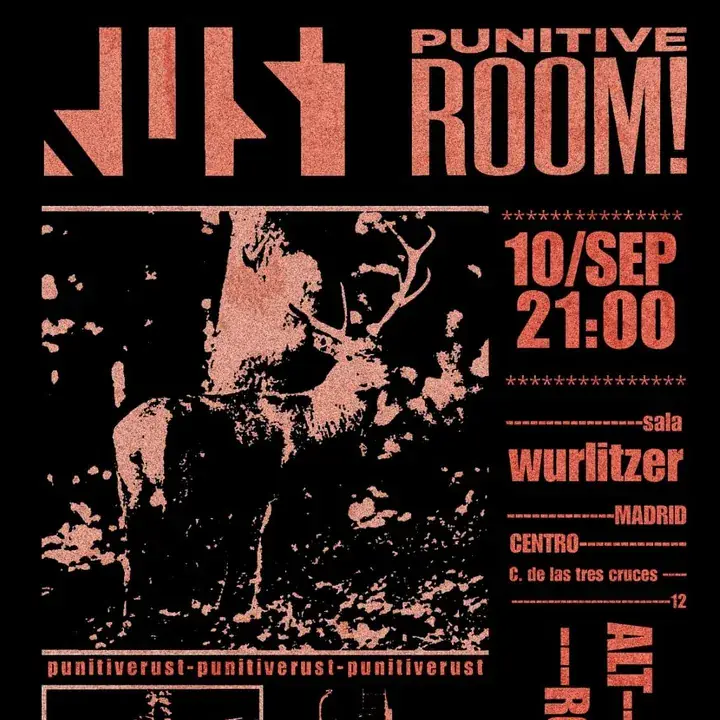 Punitive Rust en Wurlitzer Ballroom