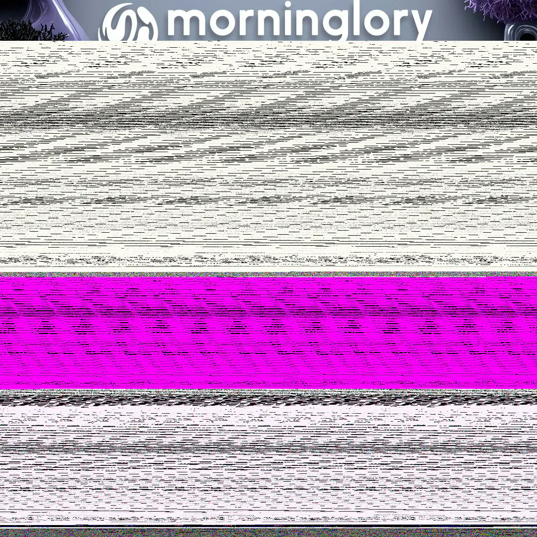 Morninglory summer edition