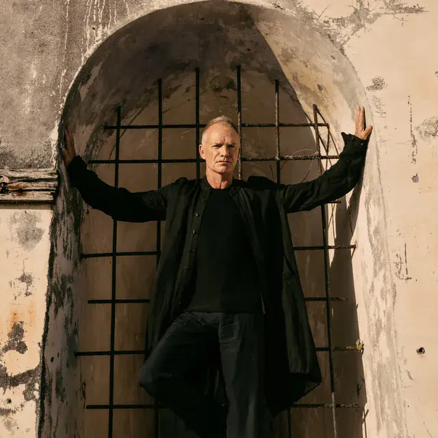Sting e Fiction Plane