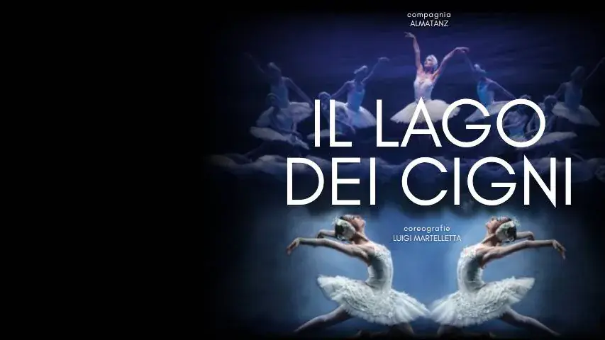 Il lago dei cigni