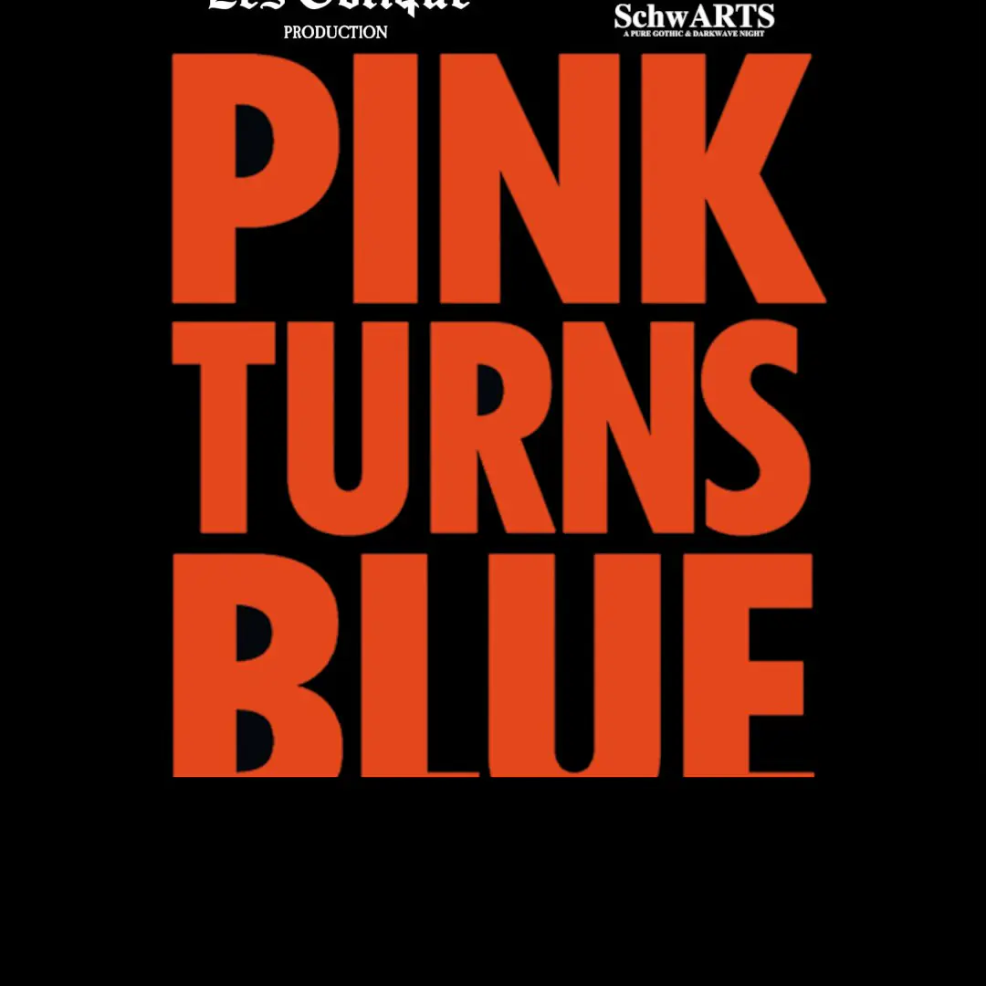 PINK TURNS BLUE live @ Traffic Rome