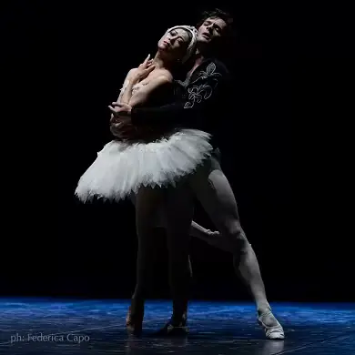 EINE NACHT DES AMERIKANISCHEN BALLETTS