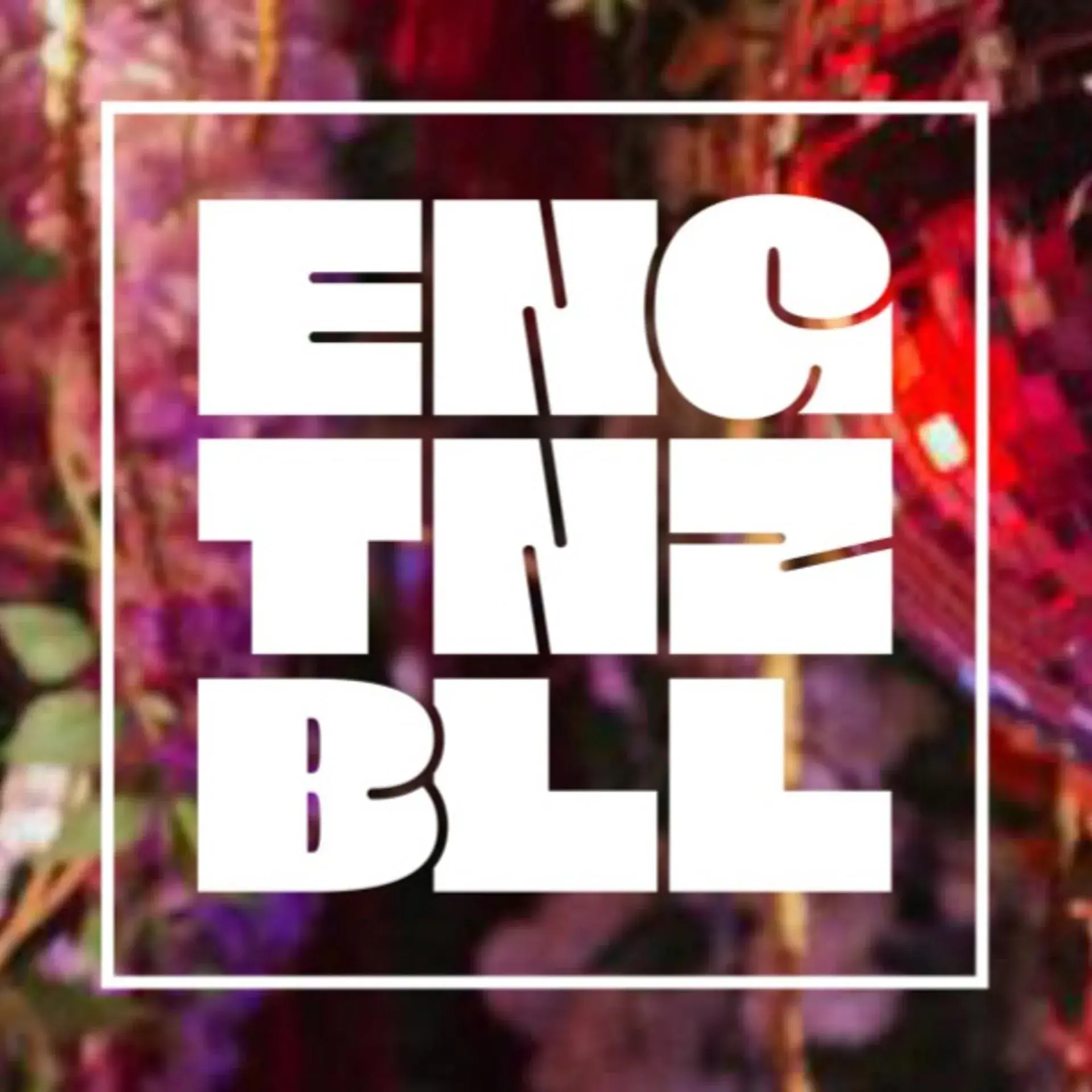 ENGTANZ BALL