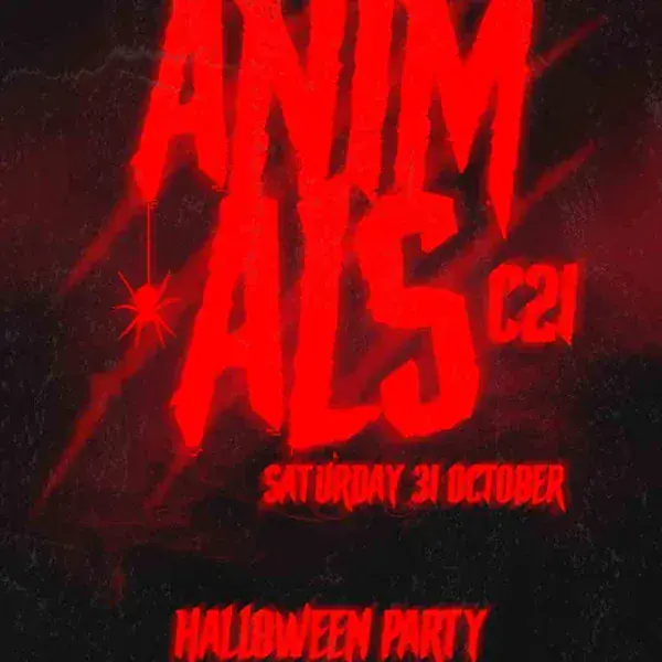 HALLOWEEN | Cantiere 21