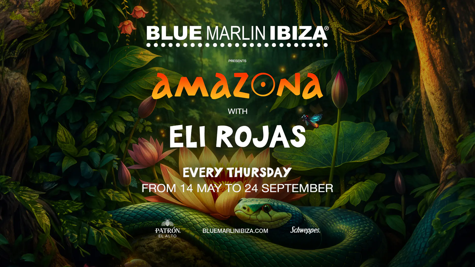 AMAZON