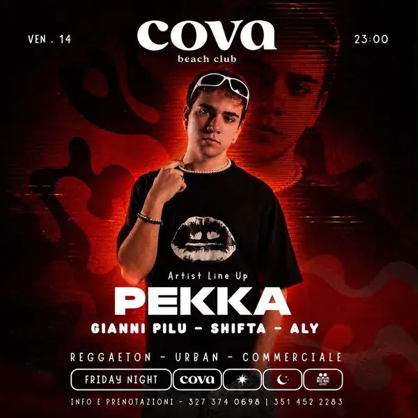 Noche de Pleno Verano - Pekka