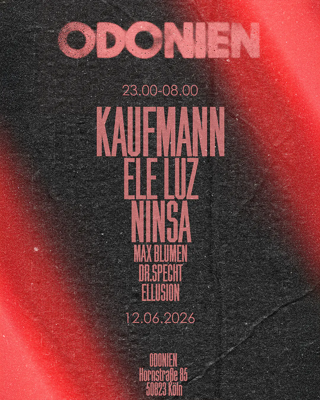 Die Kaufmann und Ele Luz in Odonien