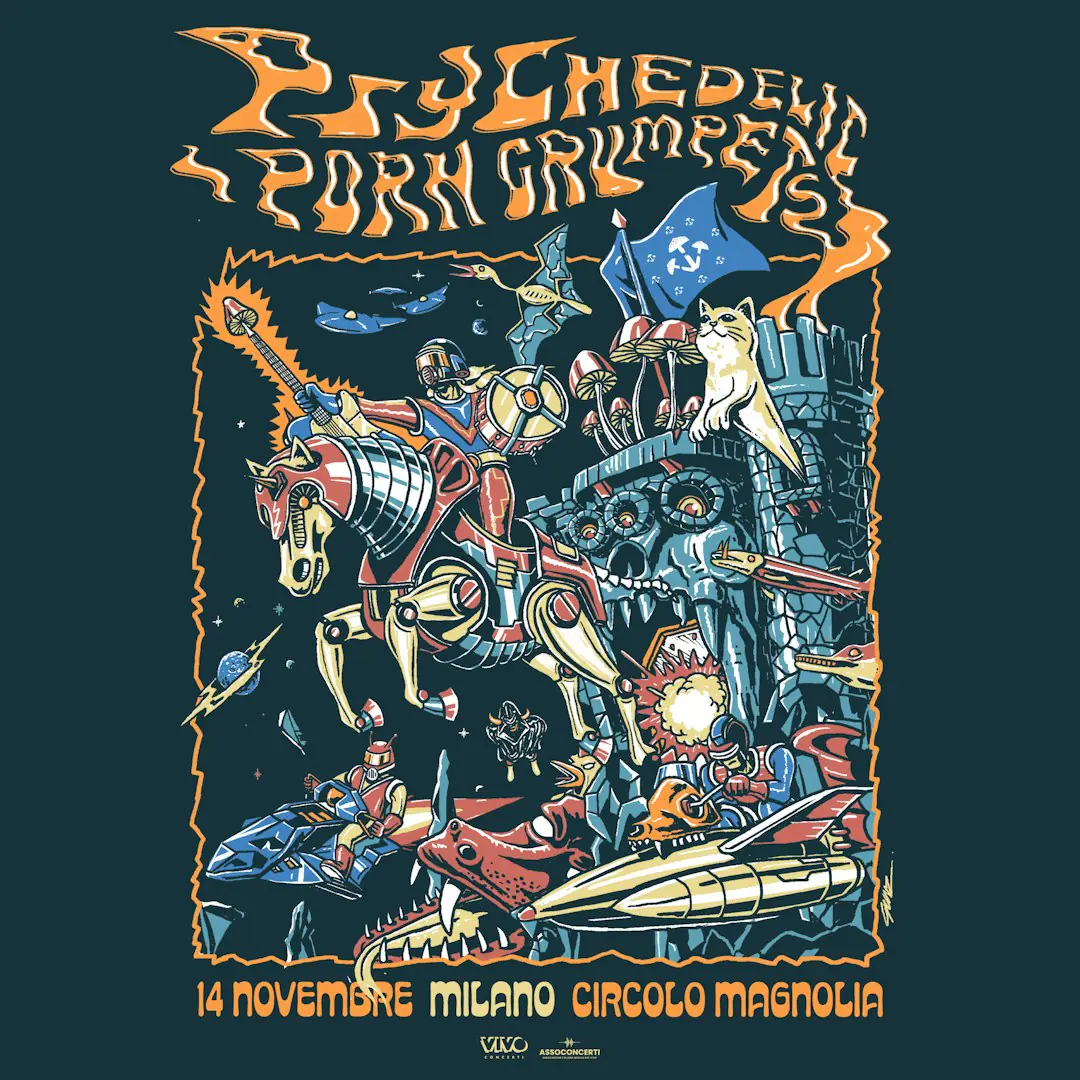 Psychedelic Porn Crumpets en concert au Magnolia