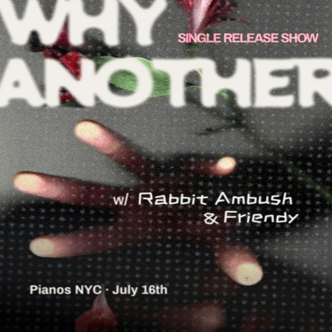 ¿Por qué otro programa de lanzamiento único con Rabbit Ambush y Friendy?