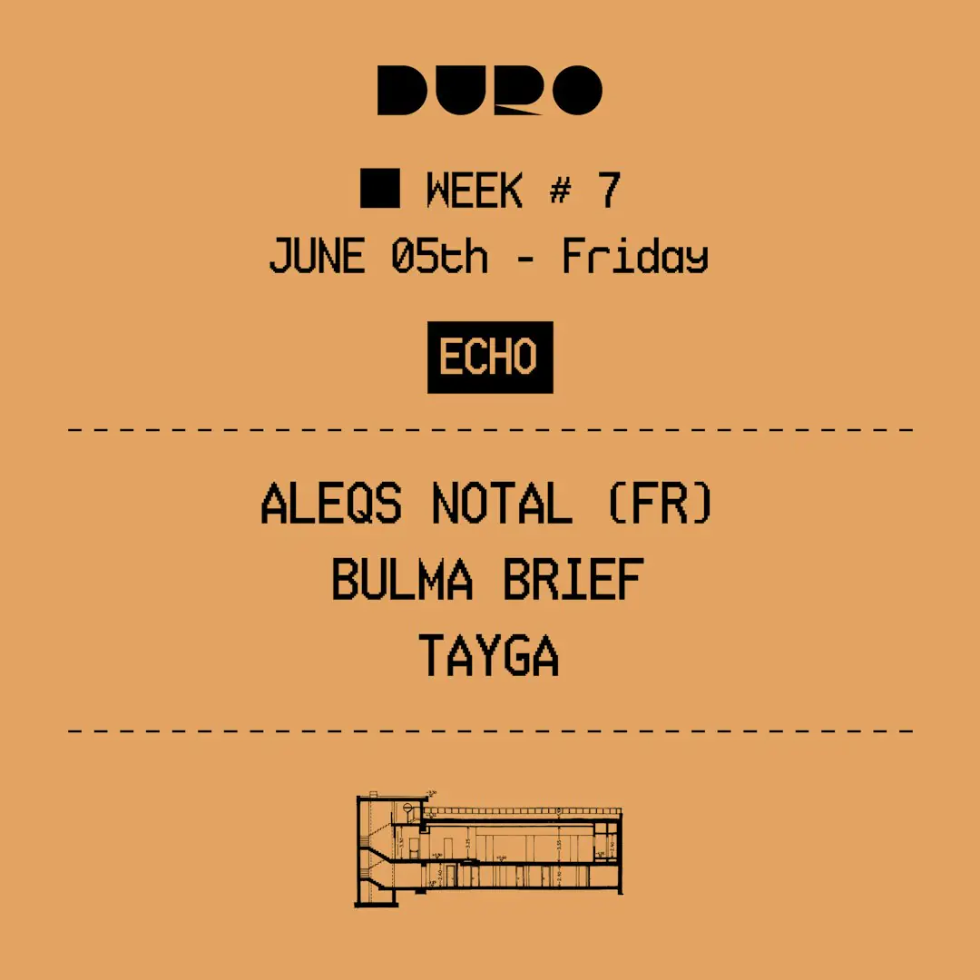 ECHO - Aleqs Notal | Bulma Brief | Tayga