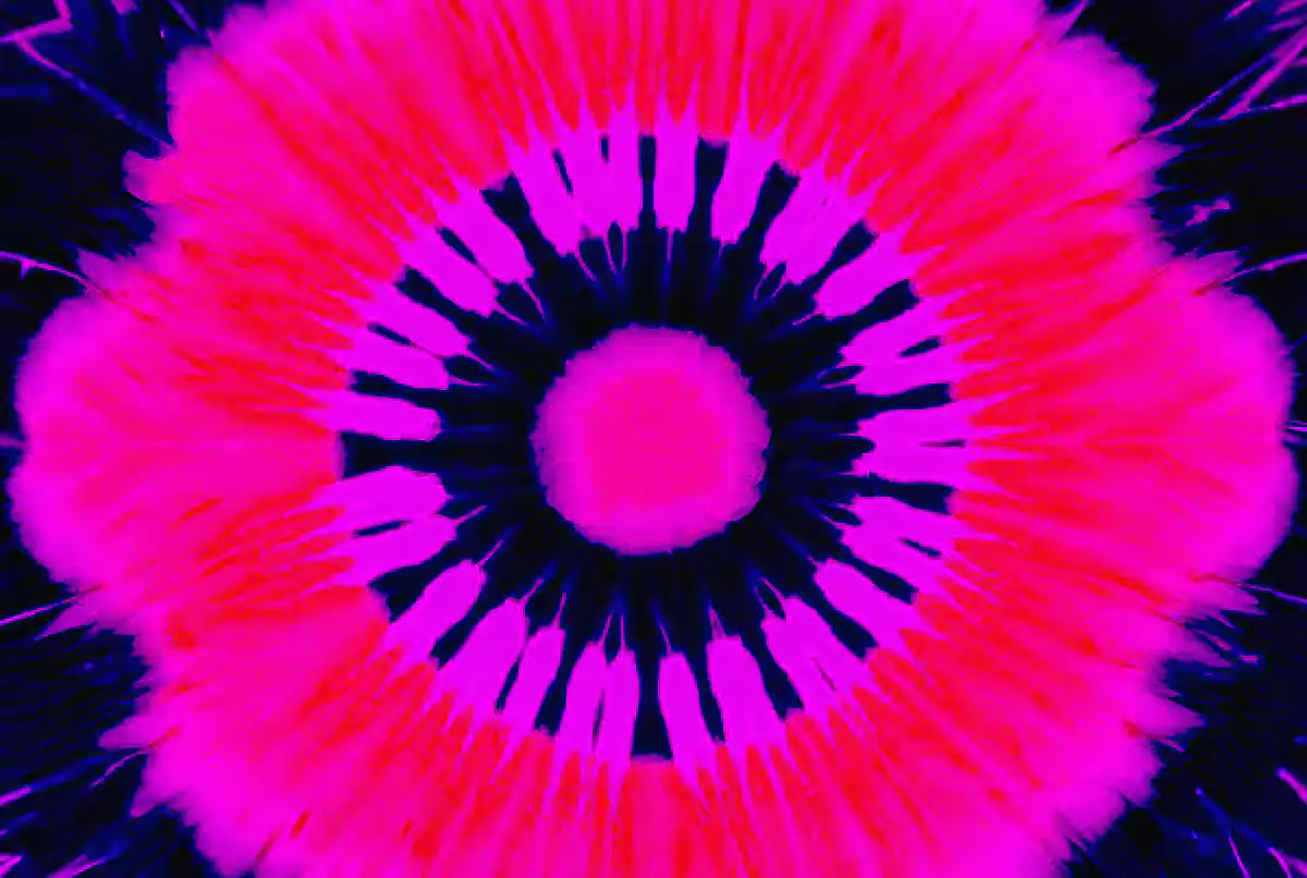 Calvin Harris. | Tuesday