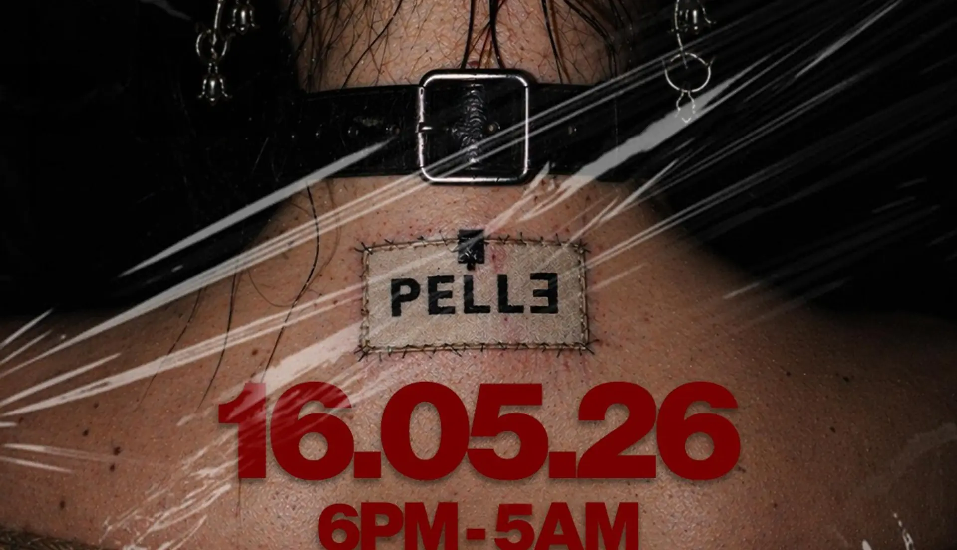 Q_house pres. PELLE