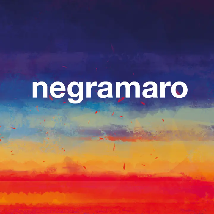 Negramaro @ Rock in Rome