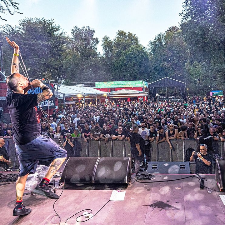 Punk Rock Raduno