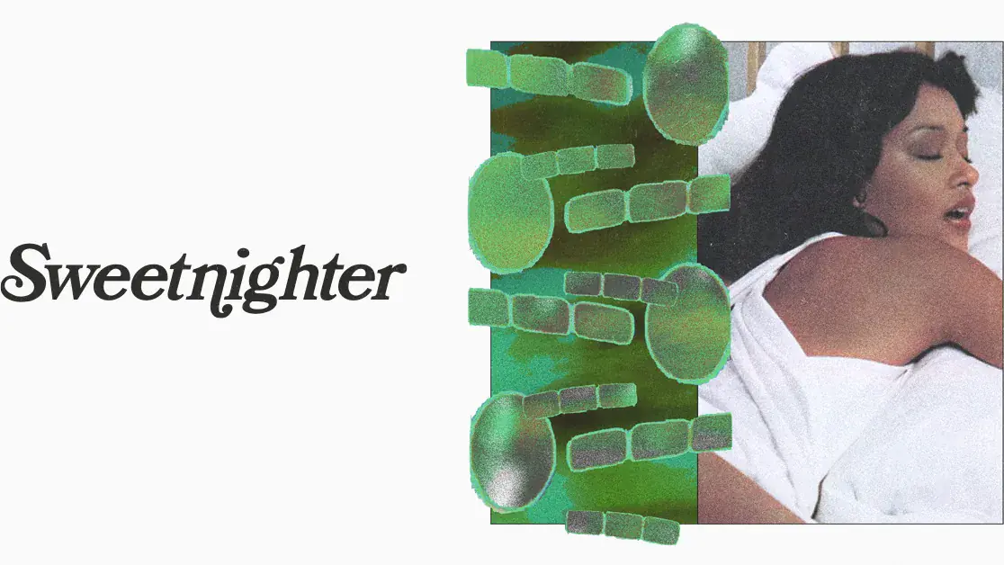 Sweetnighter: Into the Night