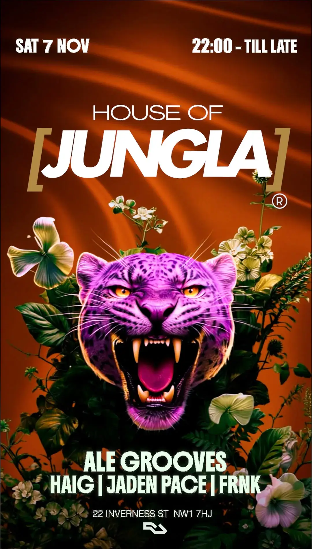 HOUSE OF JUNGLA Winter Vibes