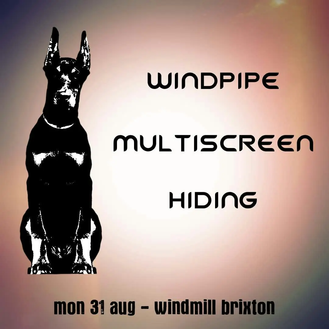 Windpipe, Multiscreen, Hiding