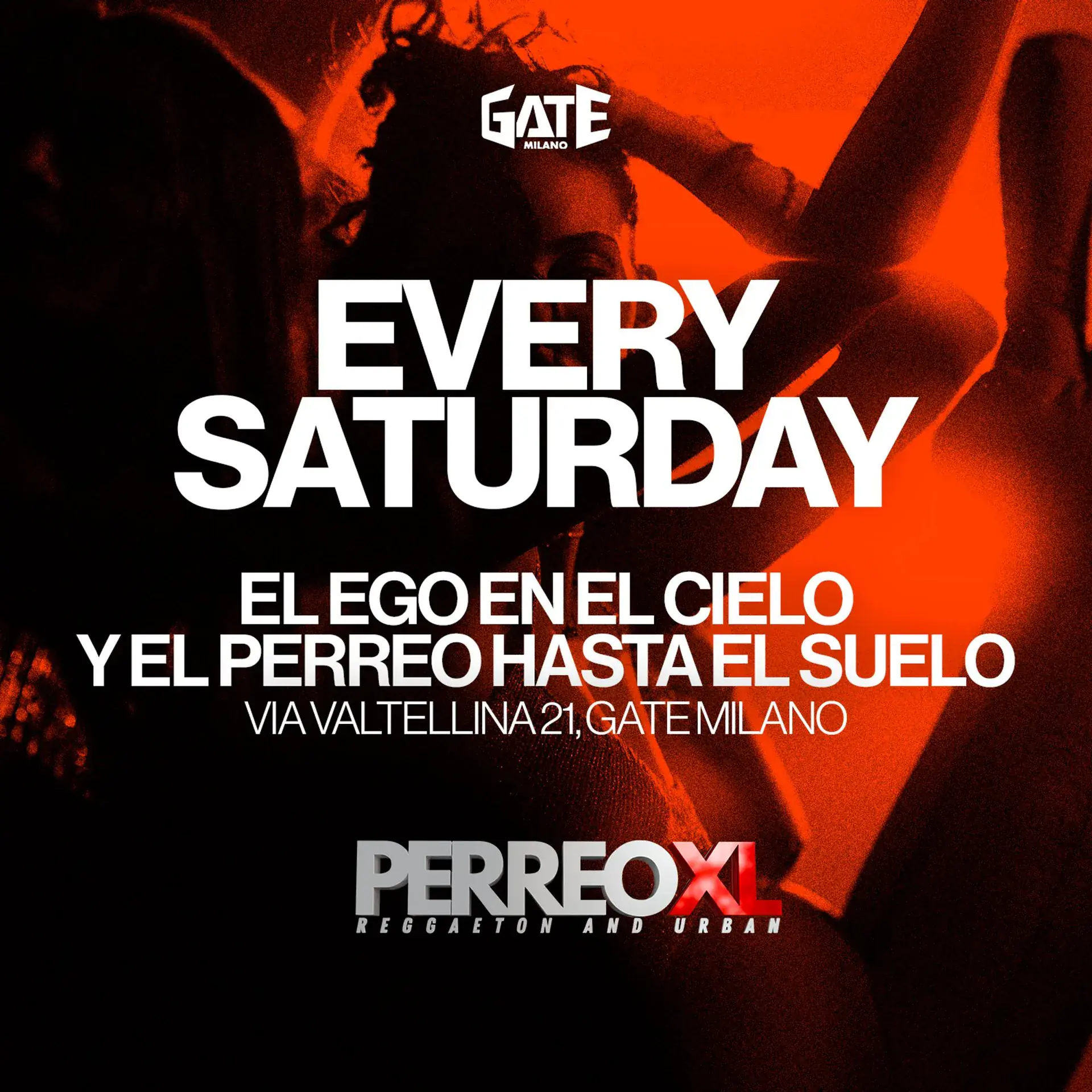PERREO XL