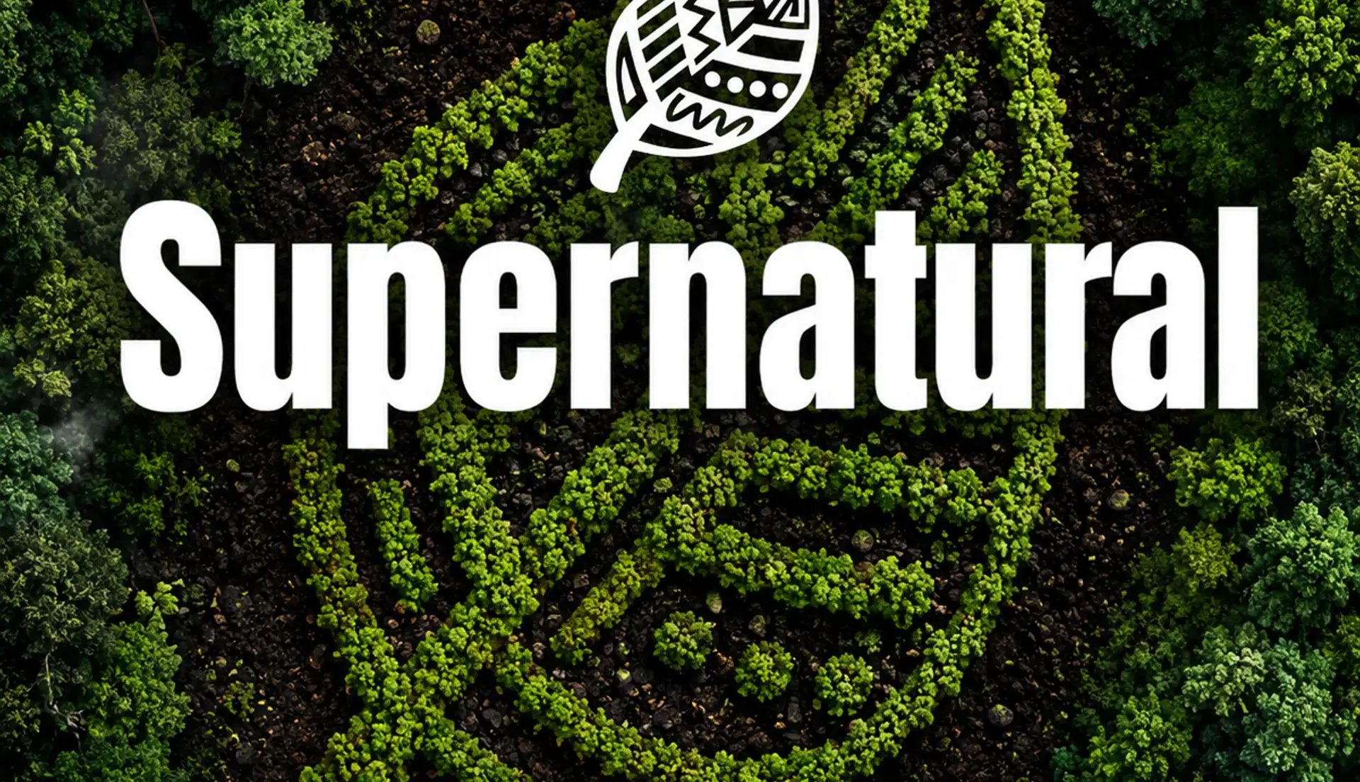 SUPERNATURAL w / MAX STYLER - Daytime Party