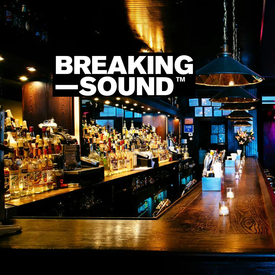 Breaking Sound NYC at Brooklyn Music Kitchen 10 / 06