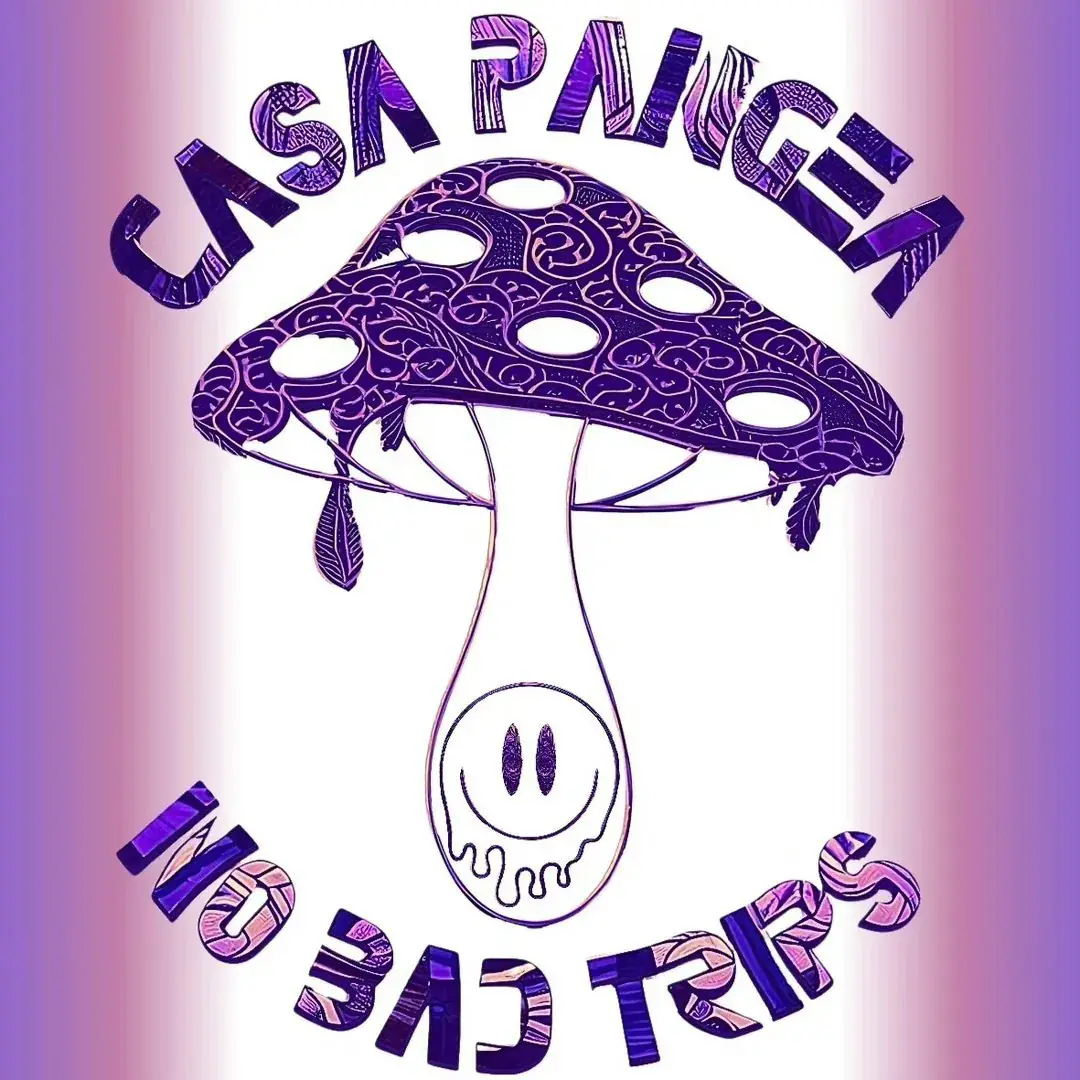 Imox x Casa Pangea | Specka Club