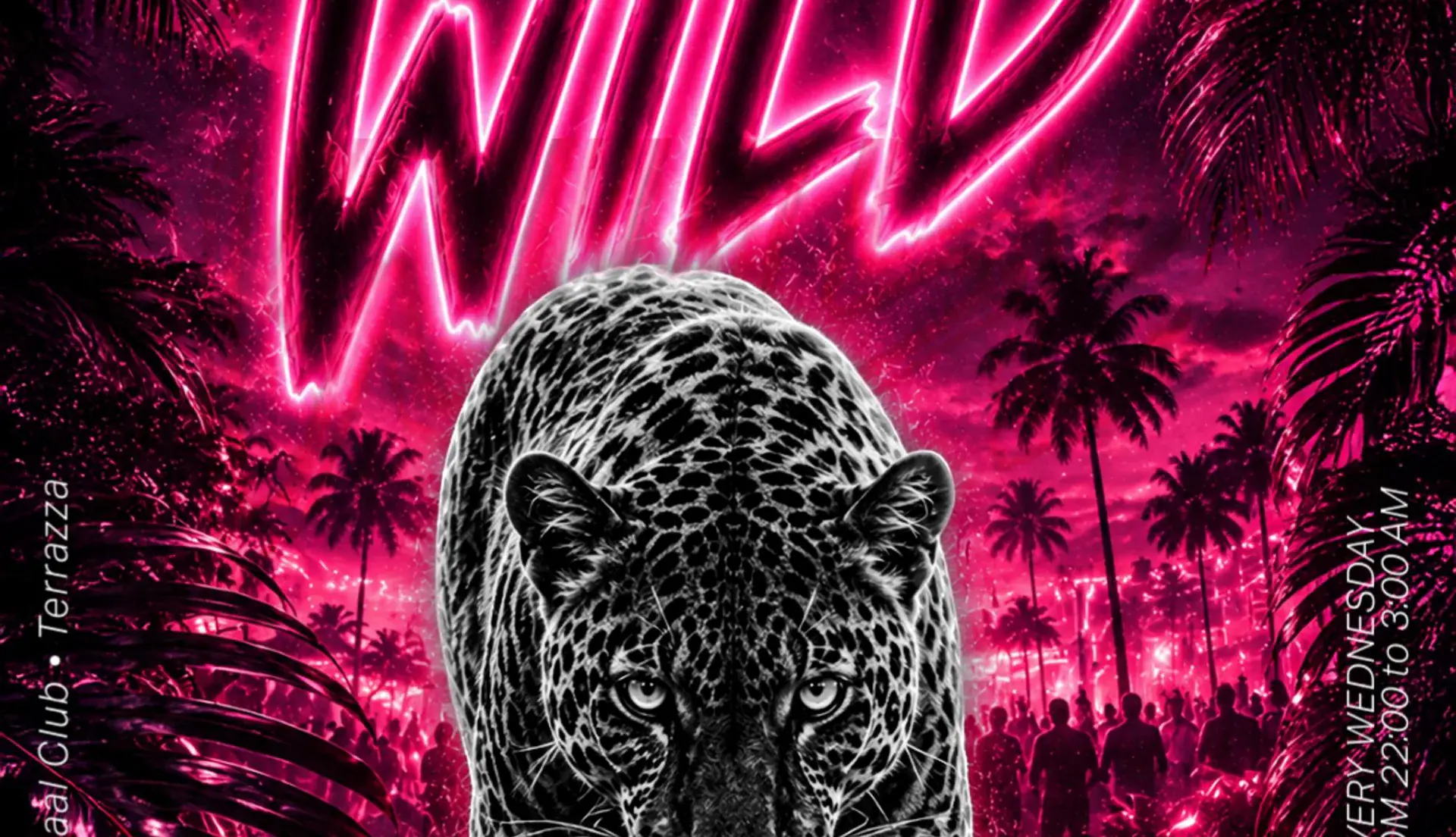 WILD - Mercoledi 12 agosto