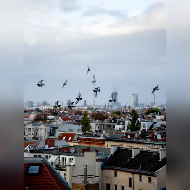 WOCHENMITTE