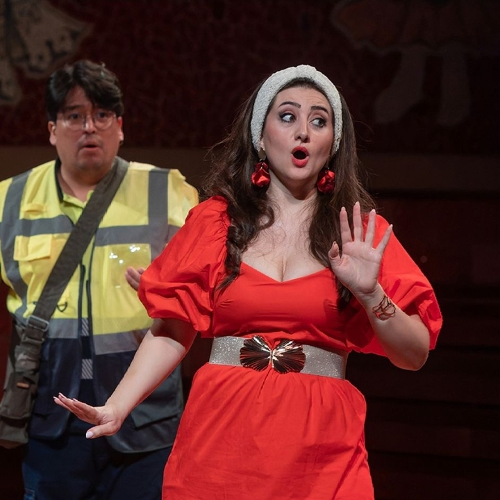 L'elisir d'amore