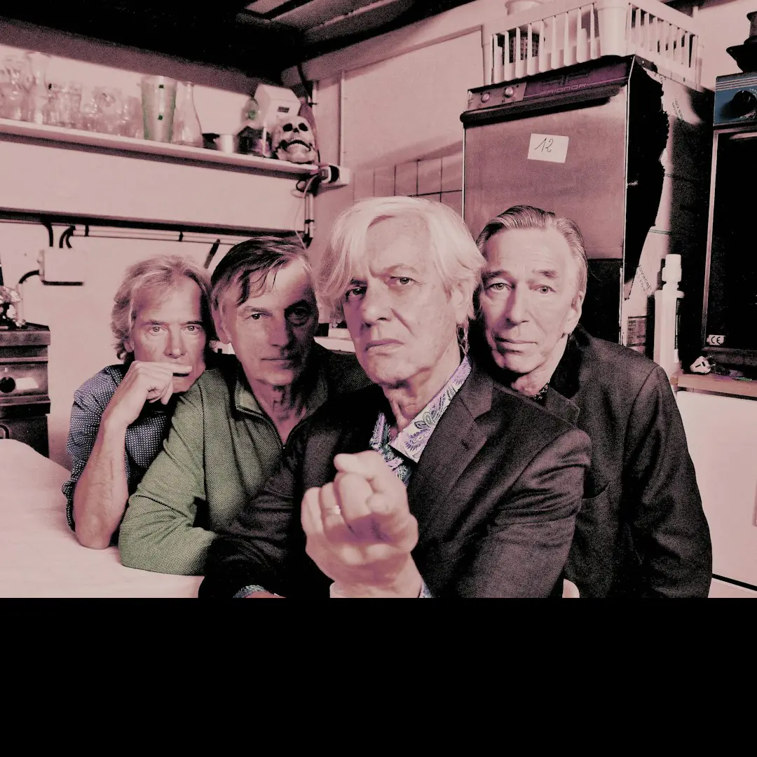 THE FLESHTONES