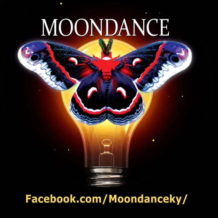 COMPRIS COMME TRAM + MOONDANCE