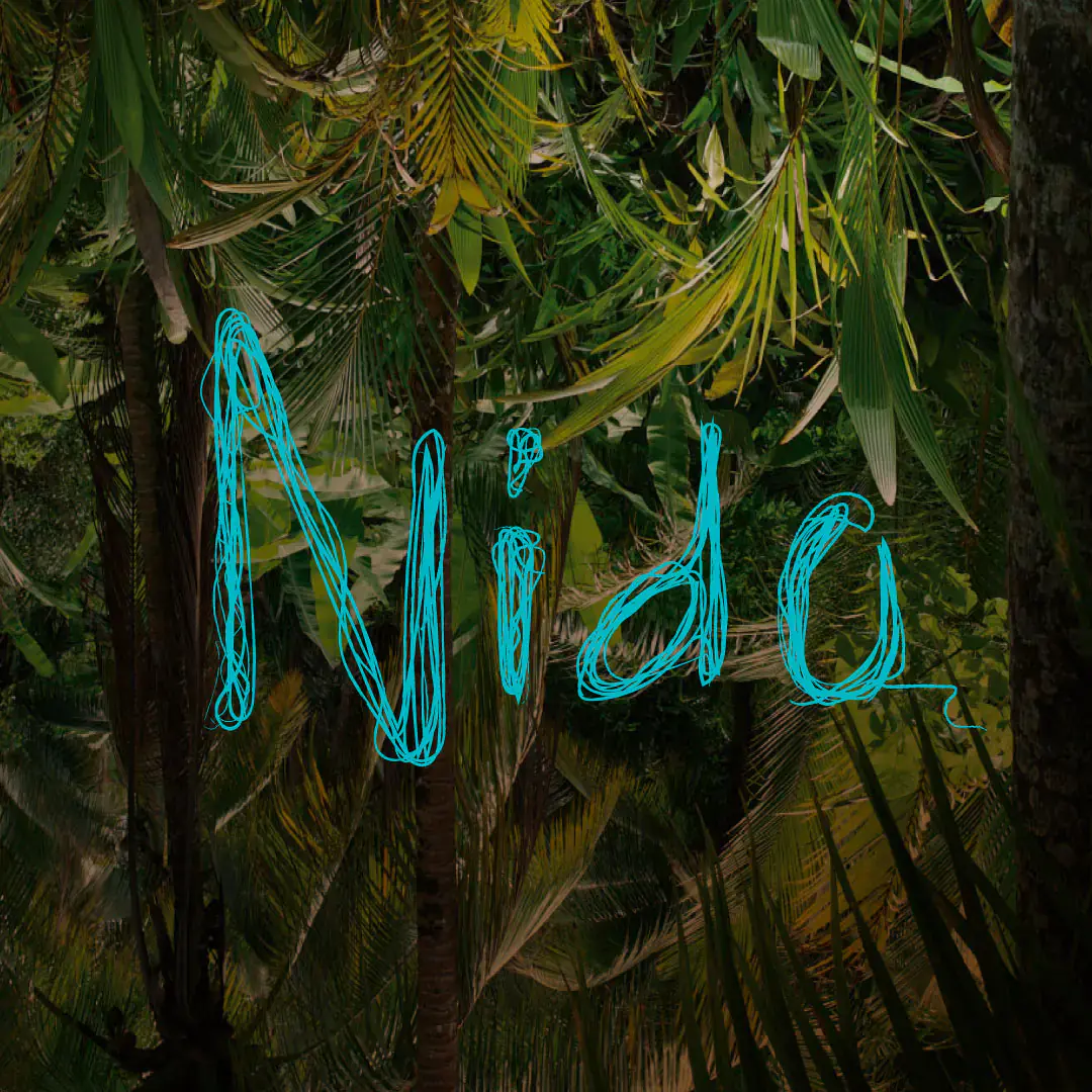 Nido