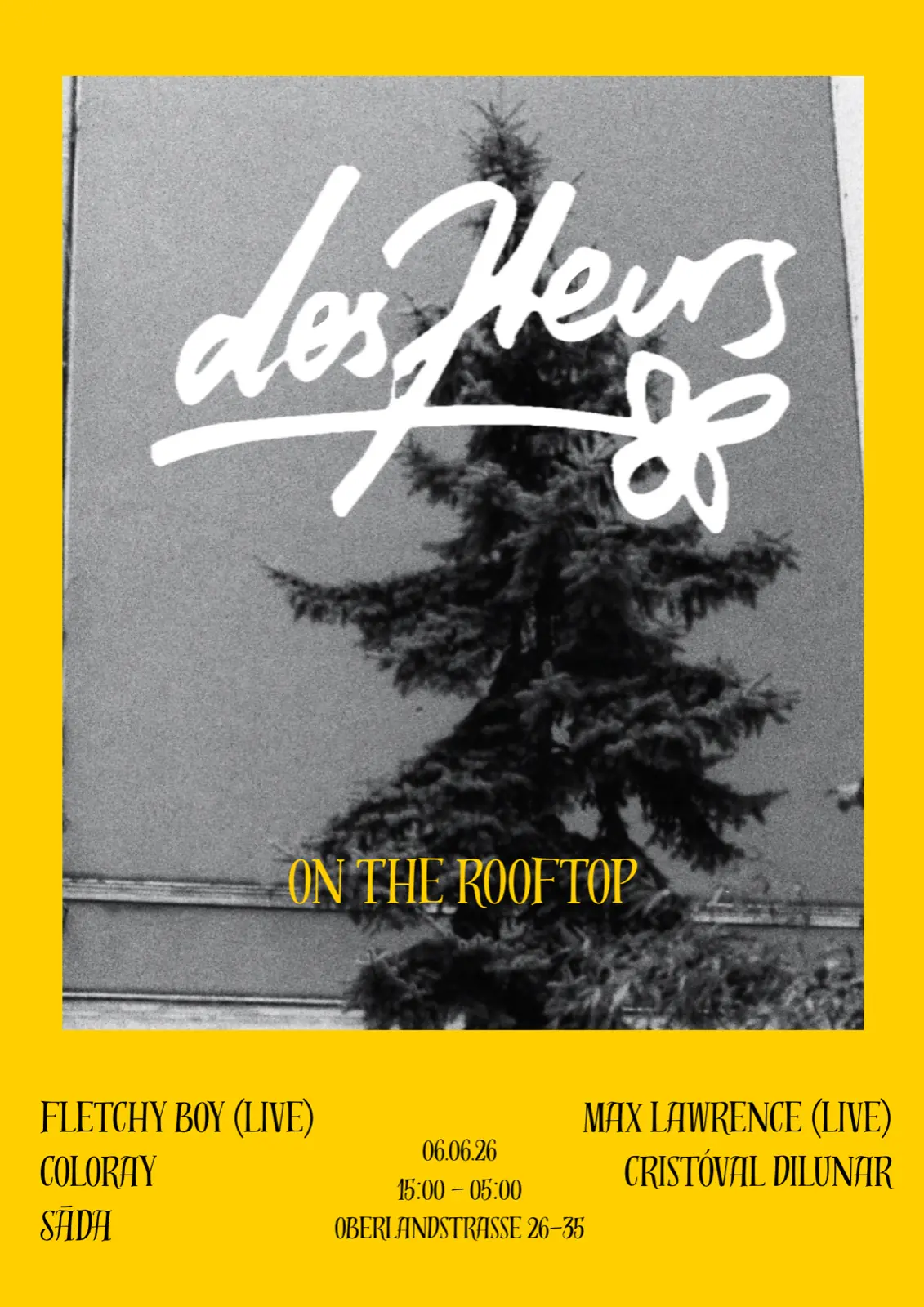 des fleurs SUR LE TOIT