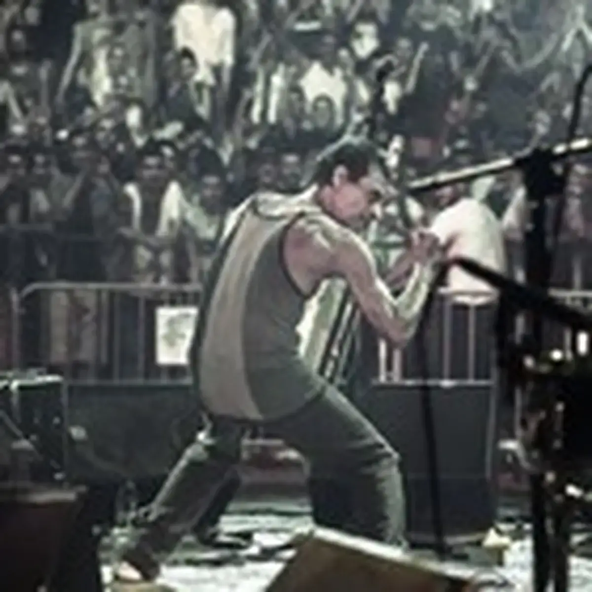 Multitude Festival 2026