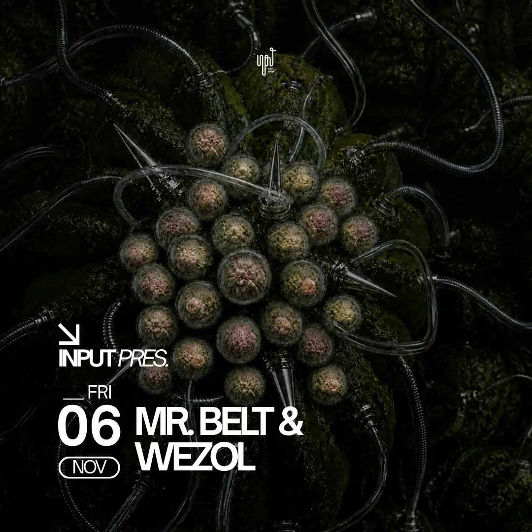 INPUT pres MR BELT & WEZOL