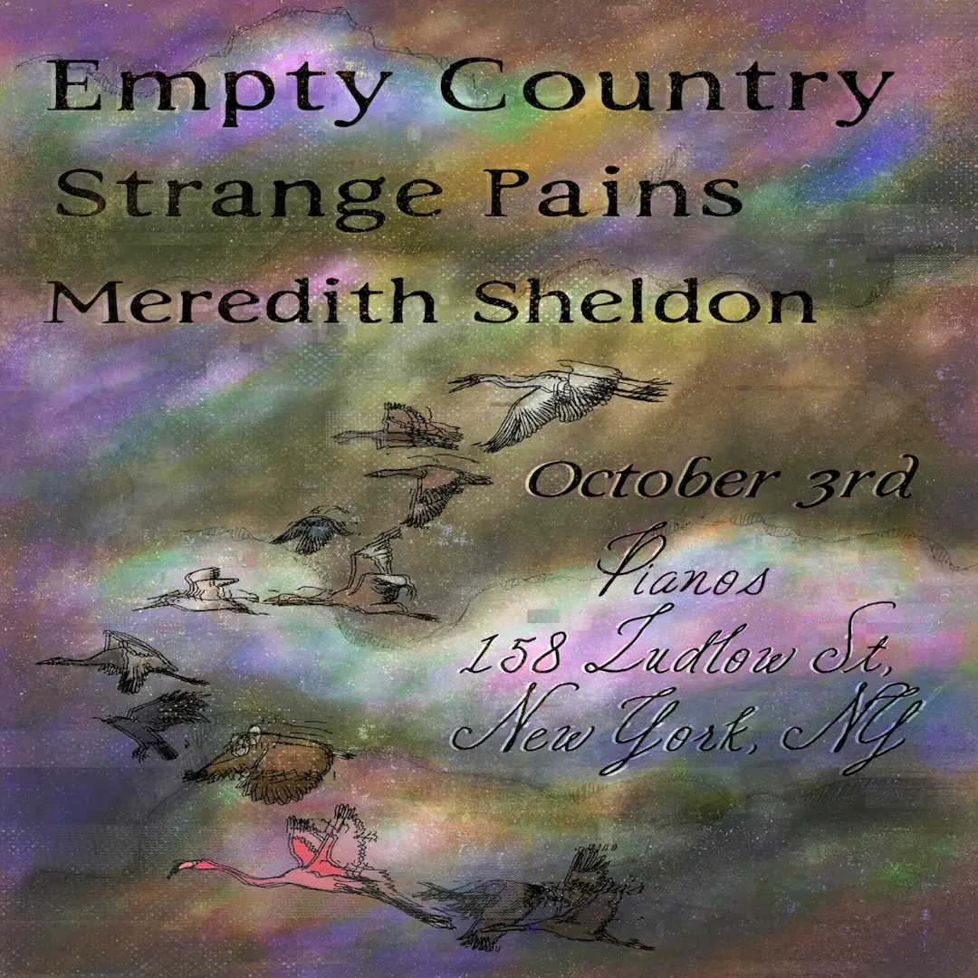 Empty Country / Strange Pains / Meredith Sheldon