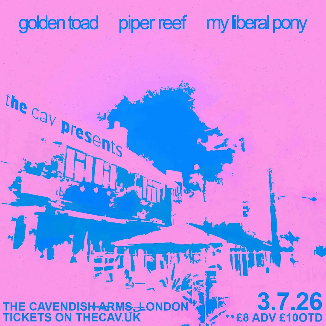 Golden Toad, Piper Reef, My Liberal Pony
